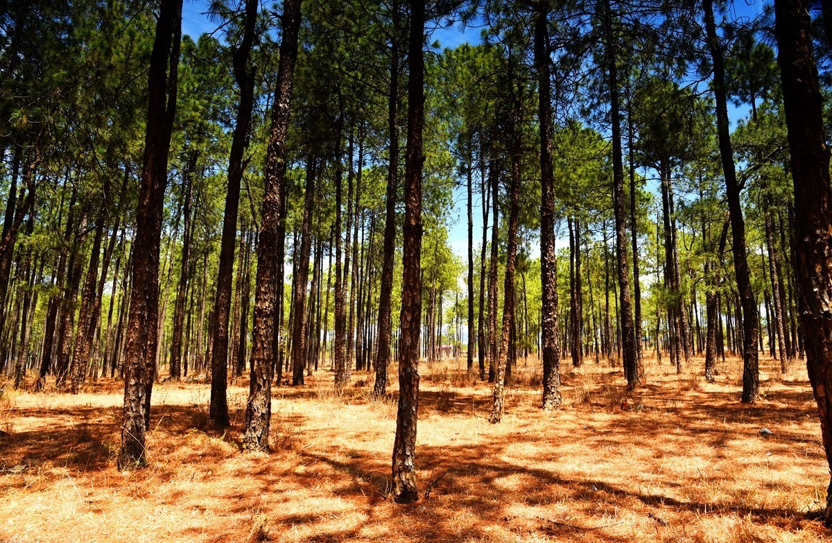 四川盐源红土地【1】