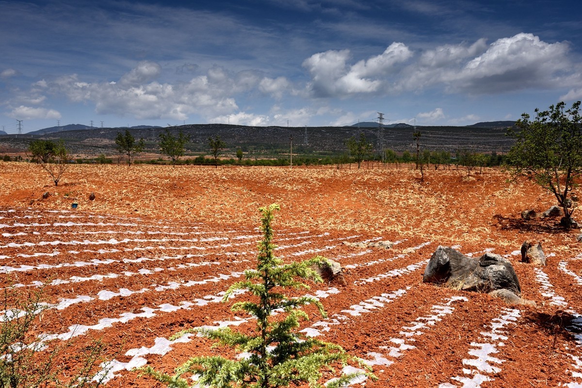 四川盐源红土地【1】