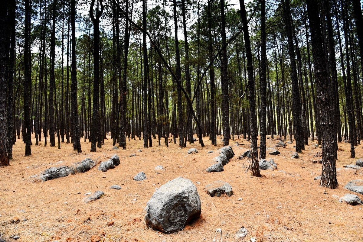 四川盐源红土地【1】