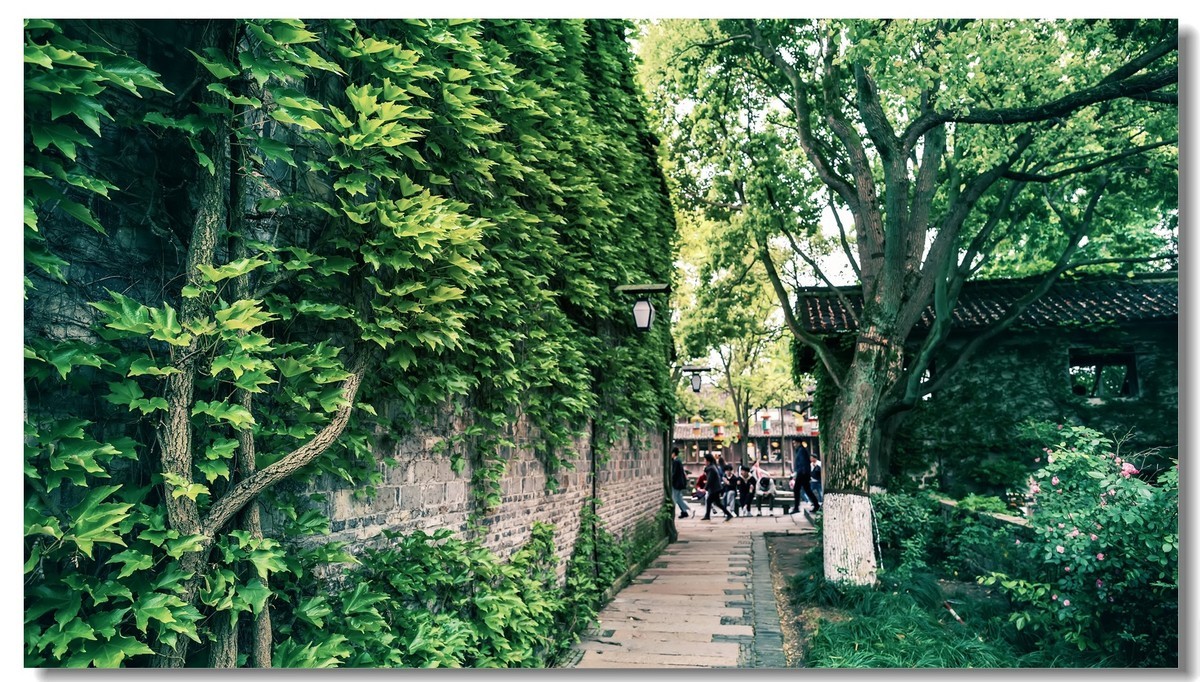 2023一一乌镇随拍