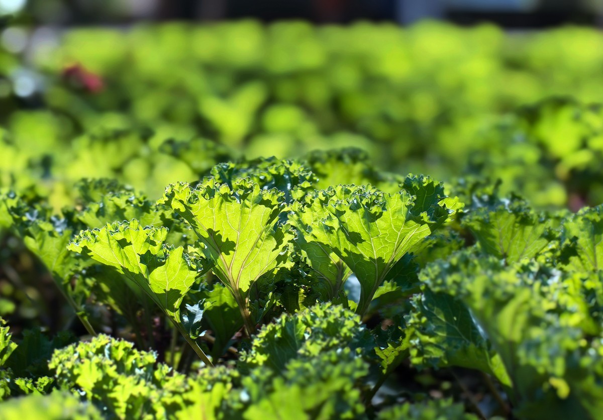 宁波帮公园随拍