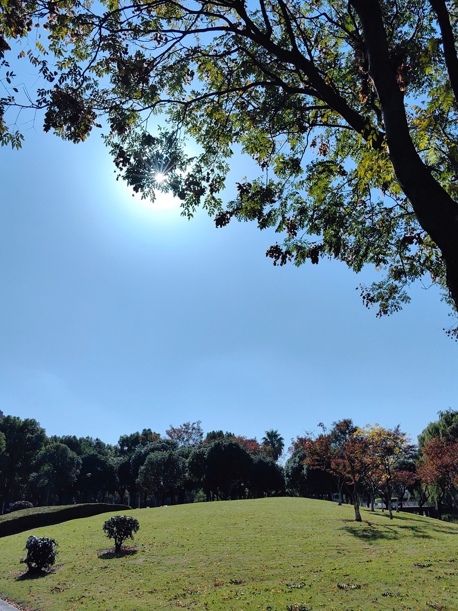 宁波帮公园随拍