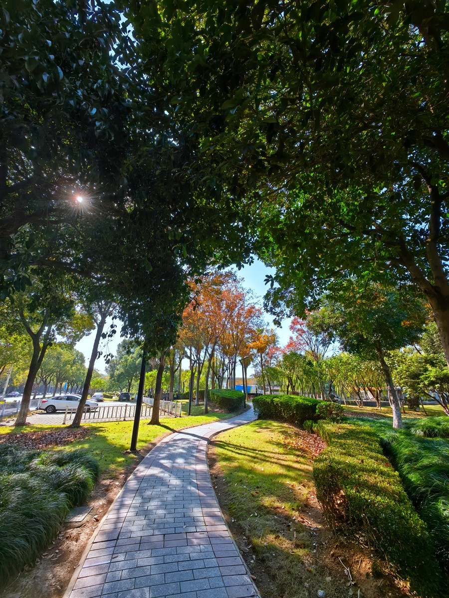 宁波帮公园随拍