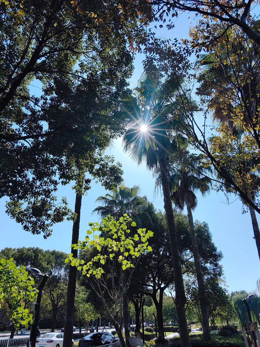 宁波帮公园随拍