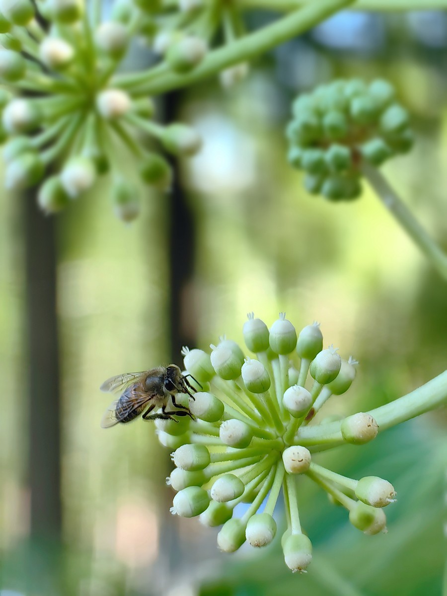 宁波帮公园随拍