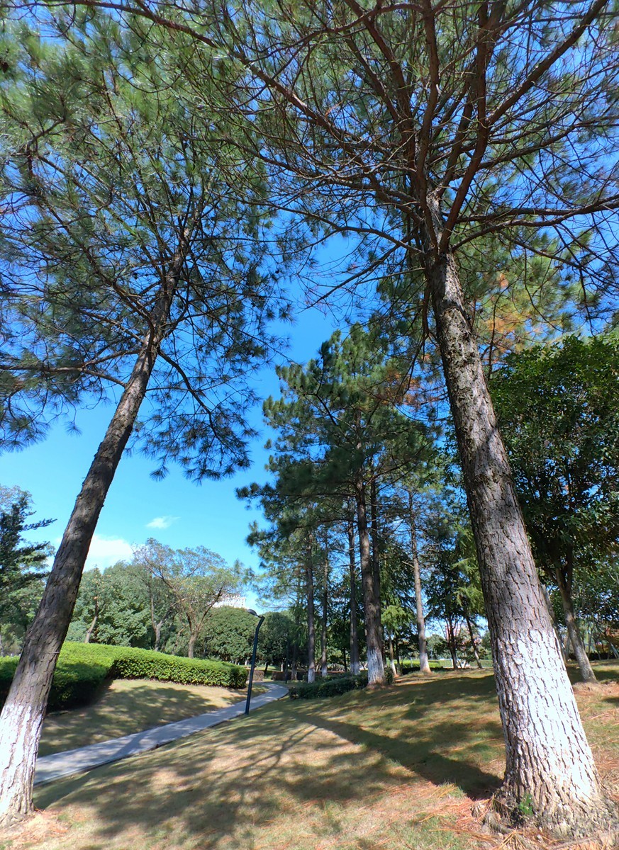 宁波帮公园随拍