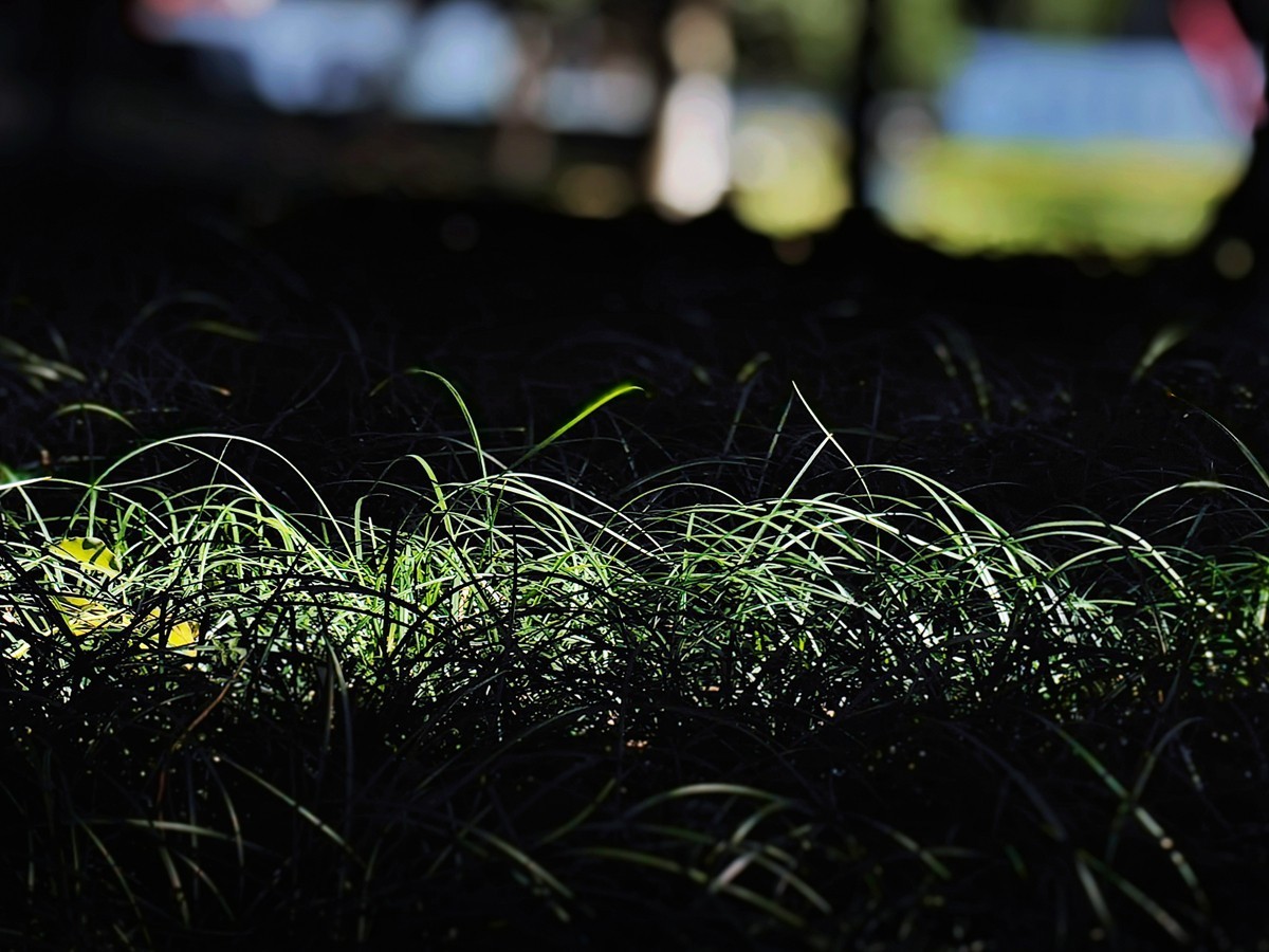 宁波帮公园随拍