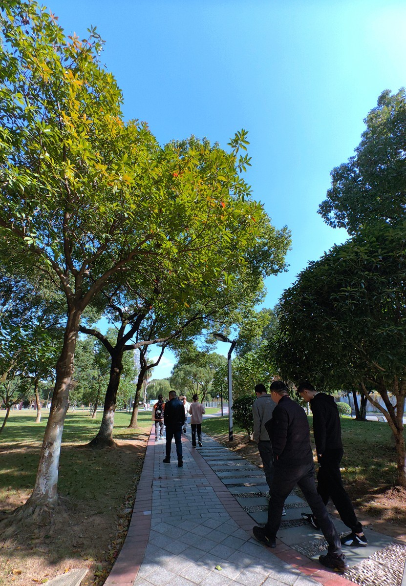 宁波帮公园随拍