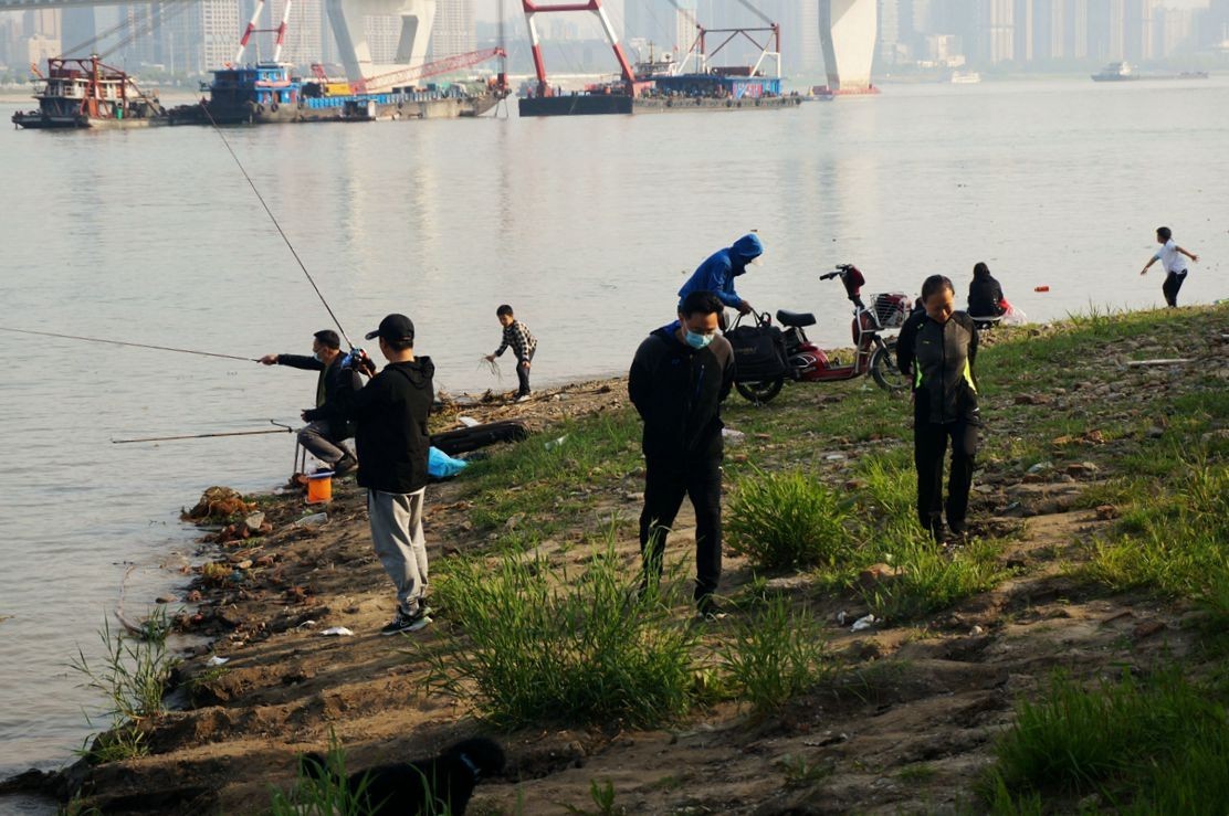 【家乡美】风和日丽正清明——武汉漫游