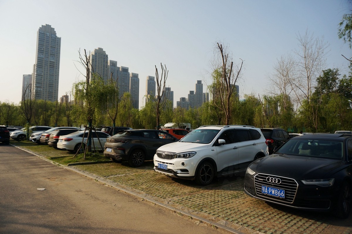 【家乡美】风和日丽正清明——武汉漫游