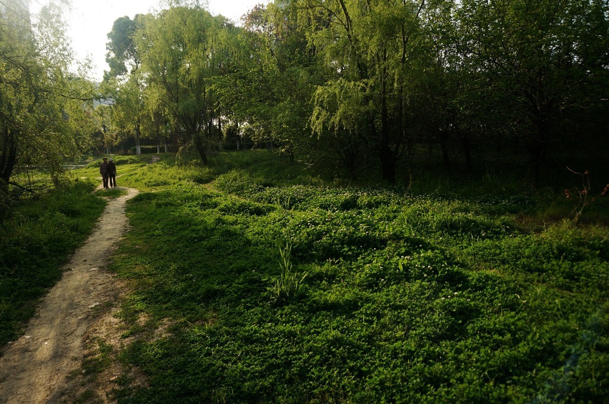 【家乡美】风和日丽正清明——武汉漫游