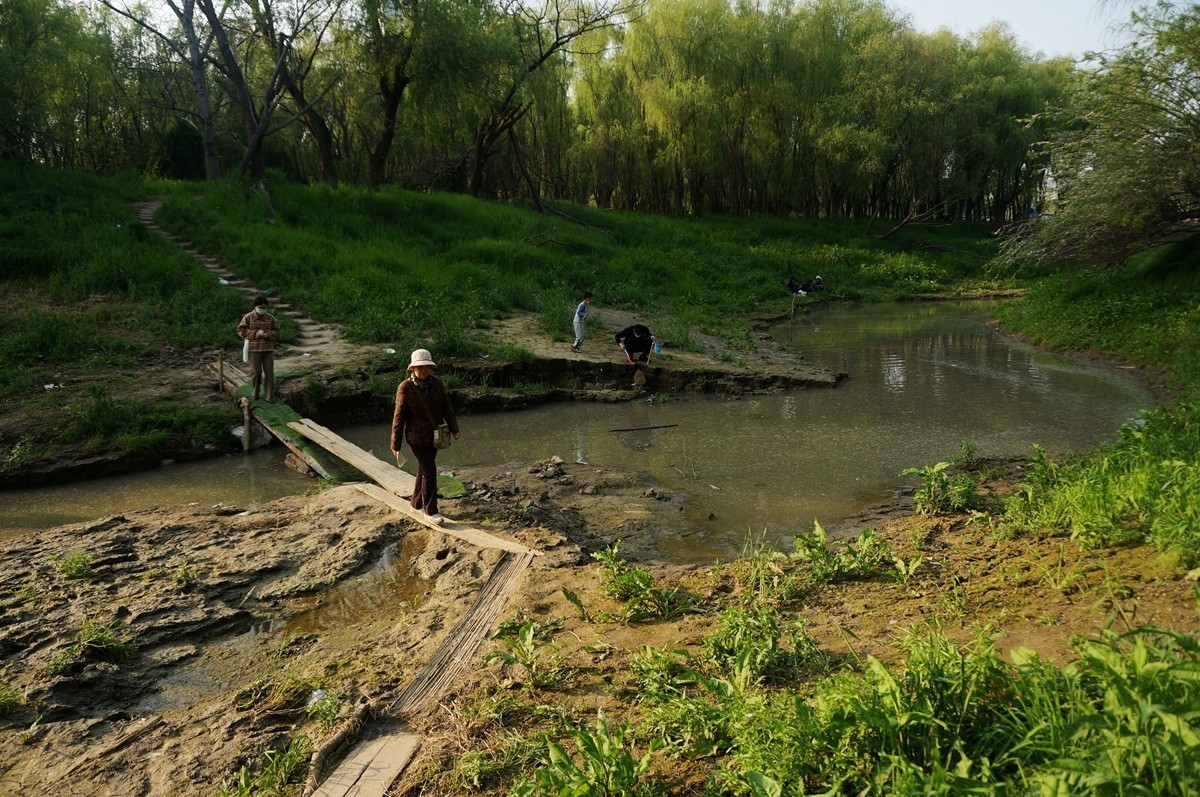 【家乡美】风和日丽正清明——武汉漫游