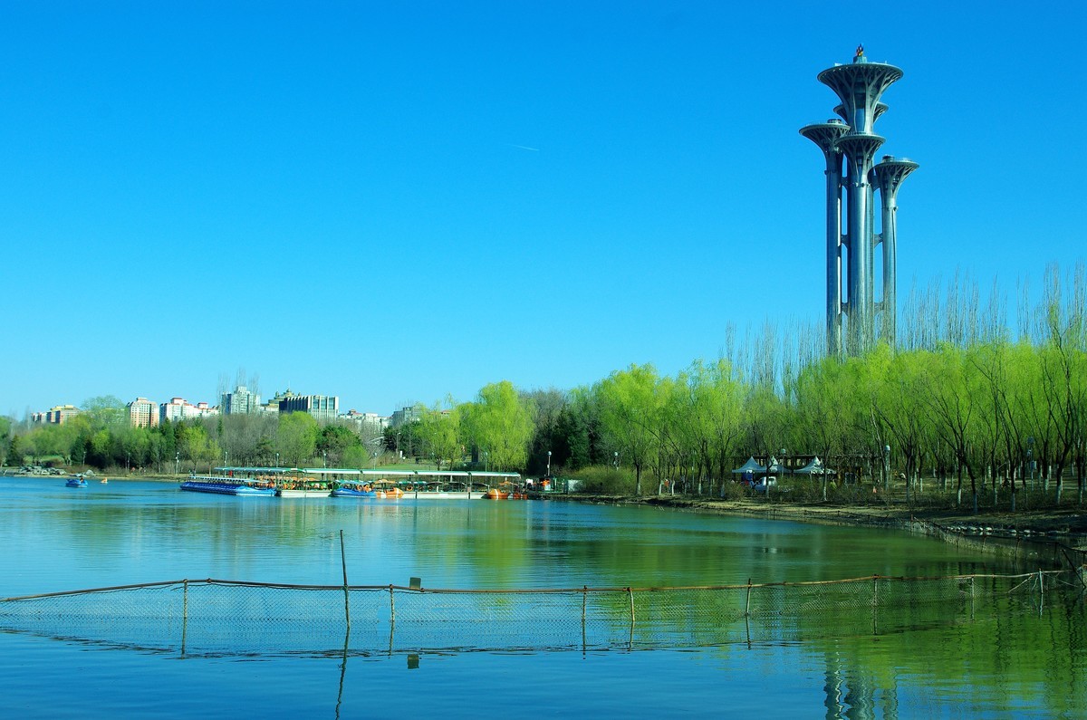 2022 —— 春风里，北京奥森公园奥海湿地景色