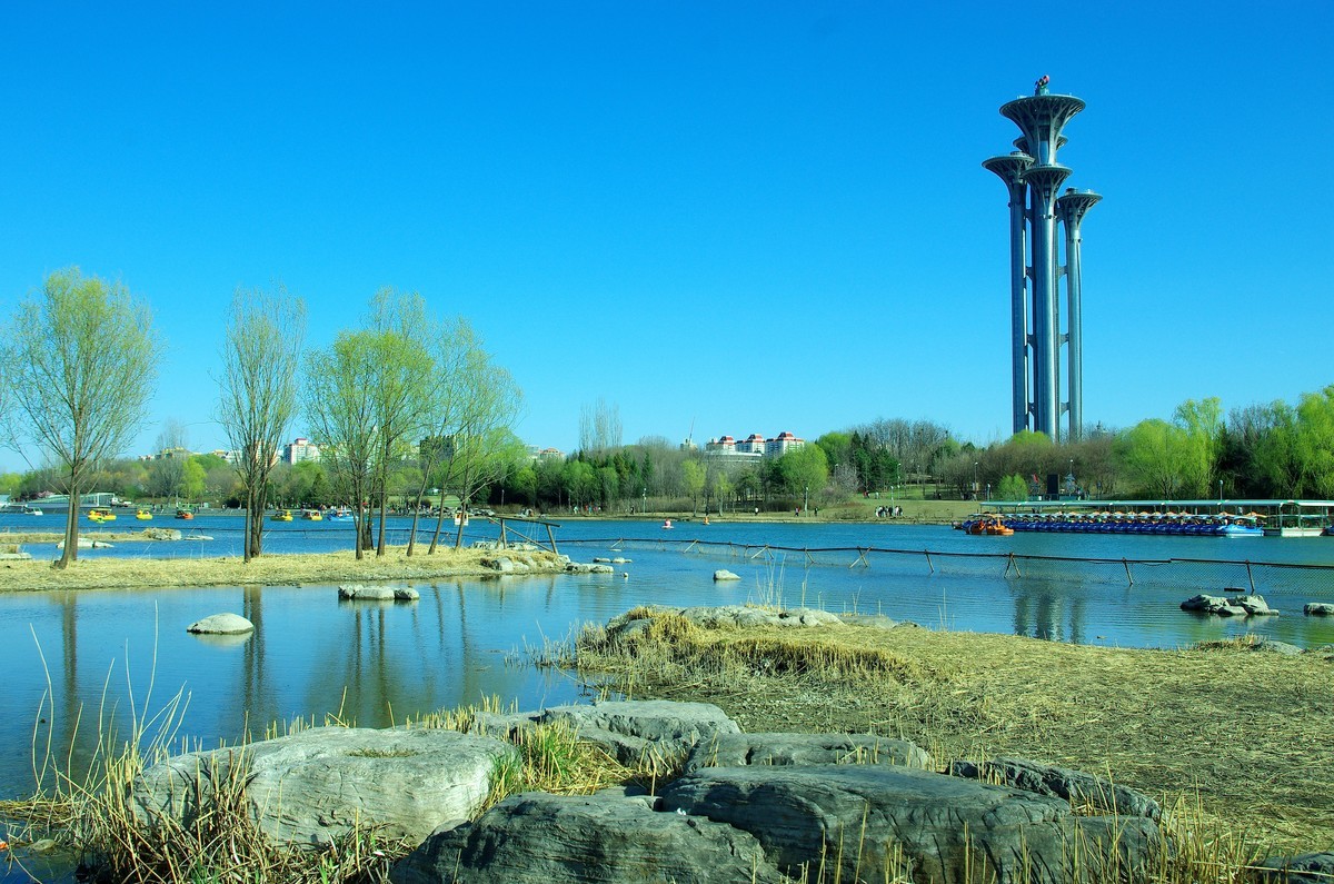 2022 —— 春风里，北京奥森公园奥海湿地景色