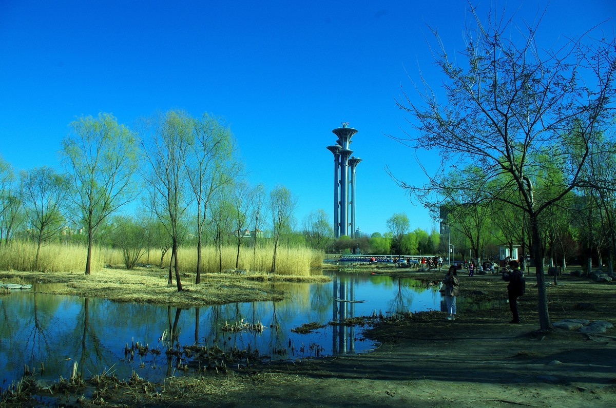 2022 —— 春风里，北京奥森公园奥海湿地景色