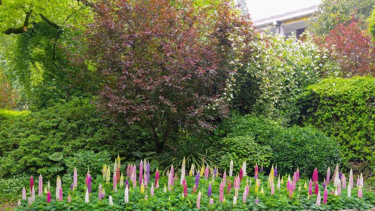 无锡--太湖绝佳处-鼋头渚【1】