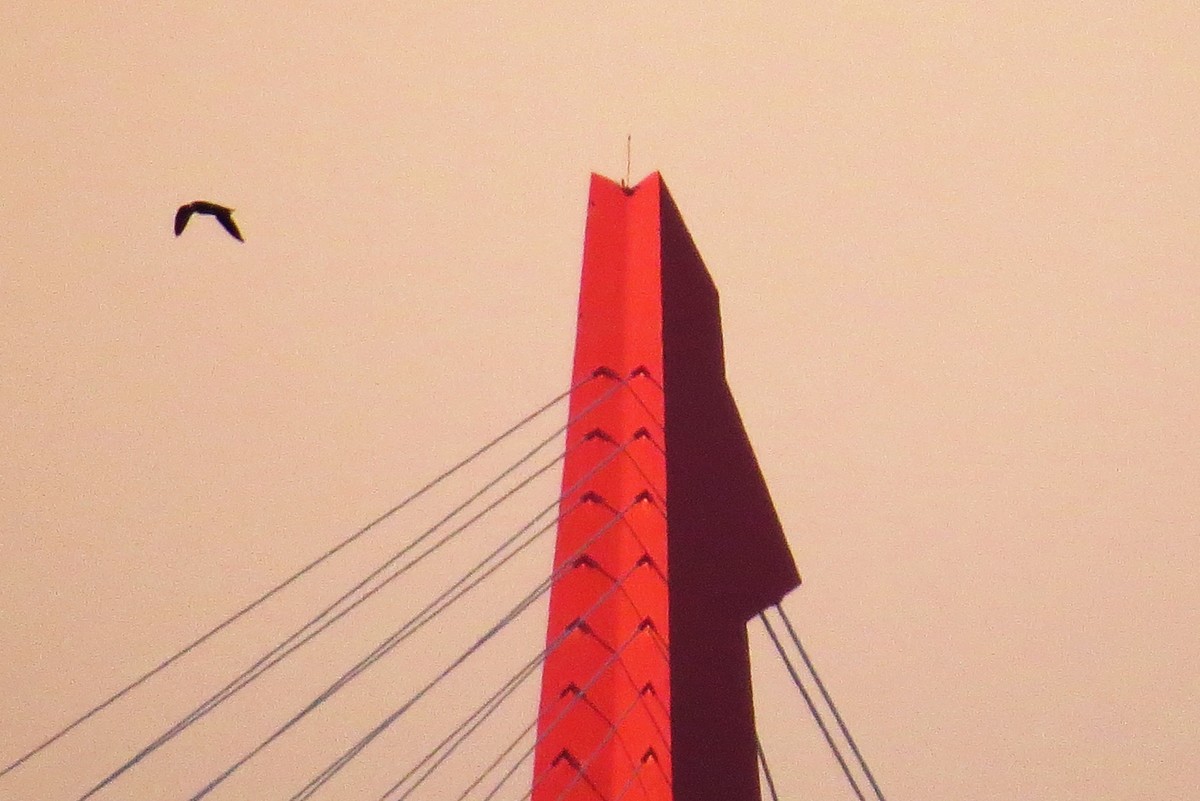 夕阳下隔河遥看对岸奥体中心