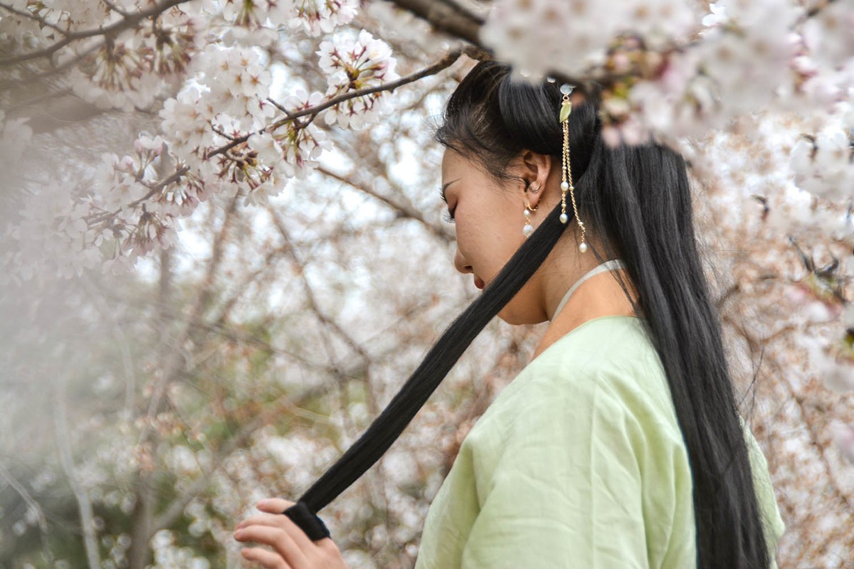 #花开春光寻美景#——樱园倩影