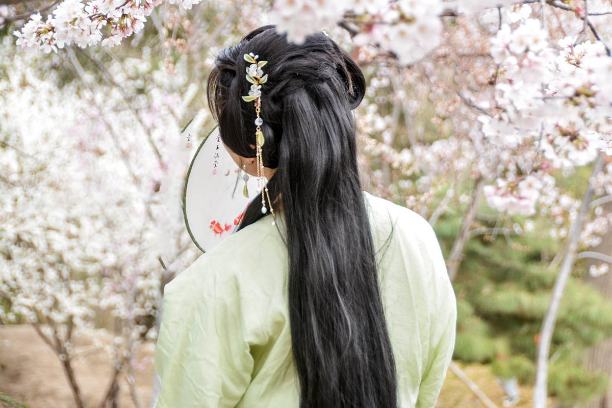 #花开春光寻美景#——樱园倩影