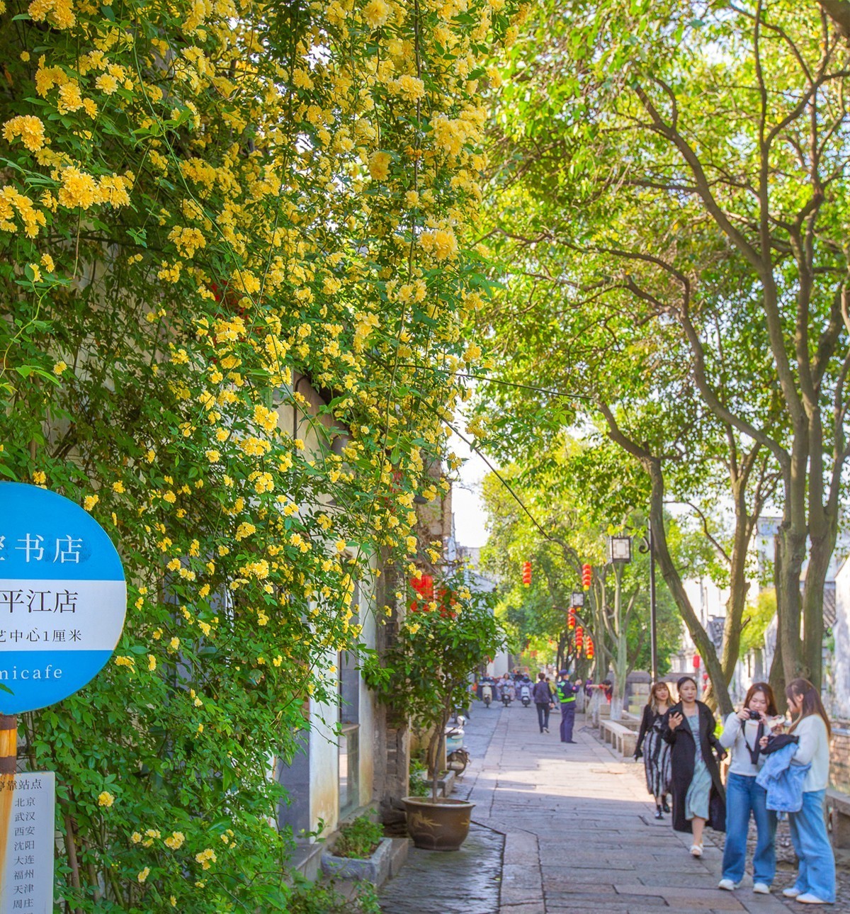 2023-06-10苏州平江路（一）