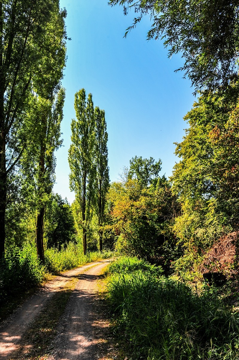 湖景人影（南德）