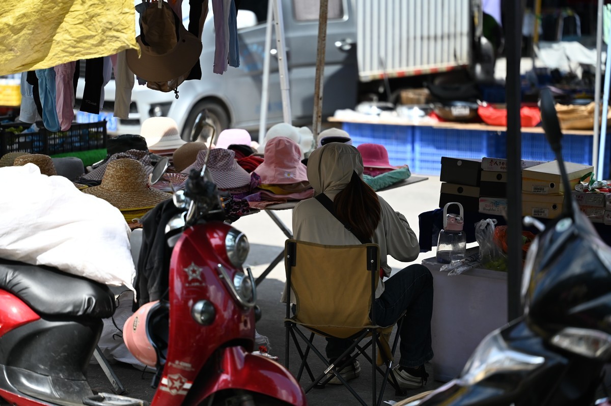 尼康Z105mm f/2.8 VR S 集市试拍 2