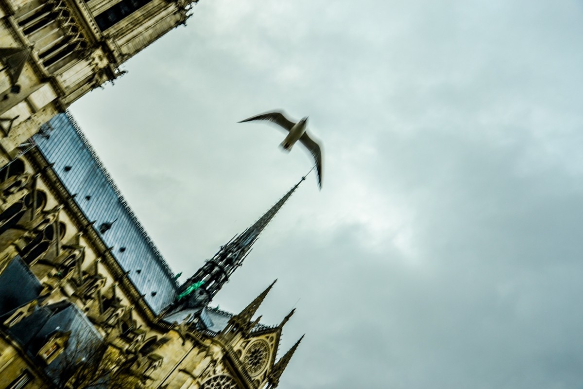 追忆--“巴黎圣母院”