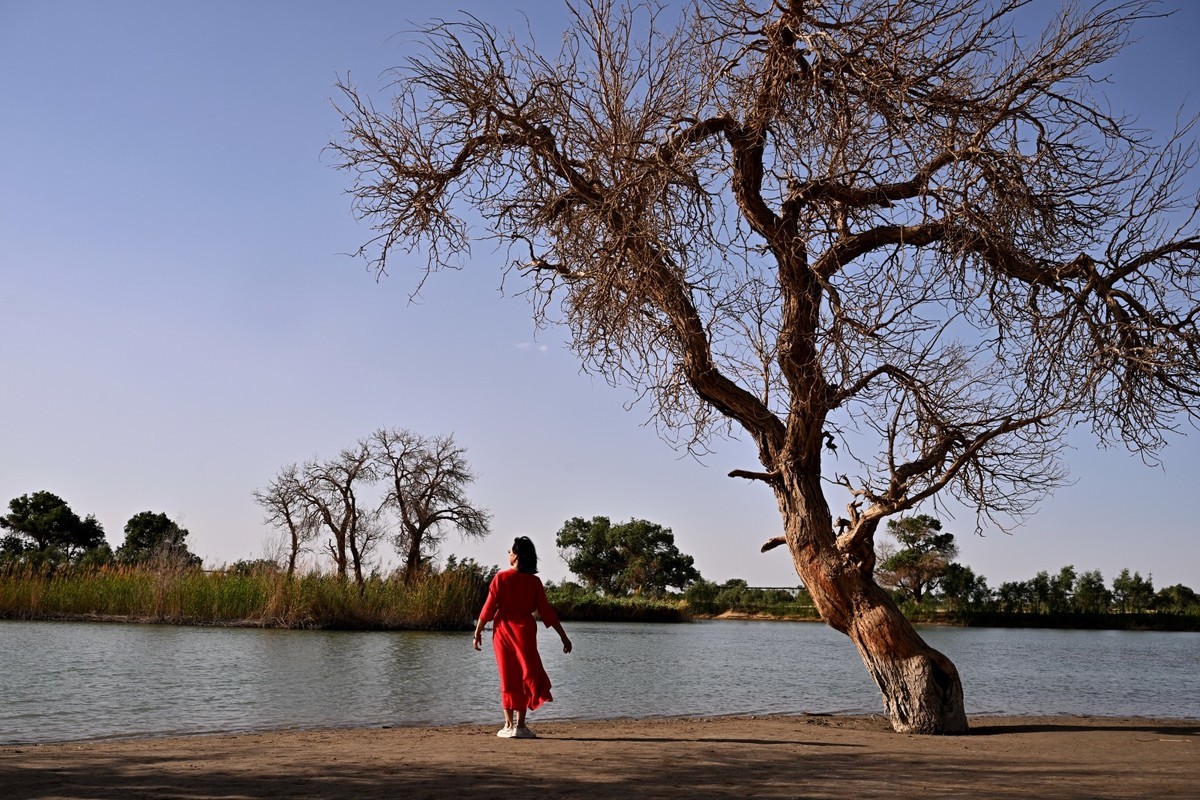 新疆游/罗布人村寨(26)