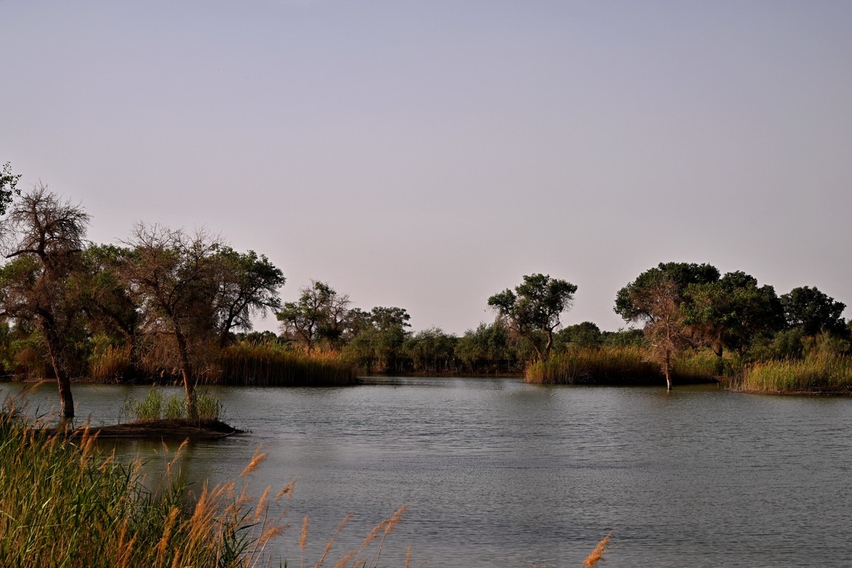 新疆游/罗布人村寨(26)