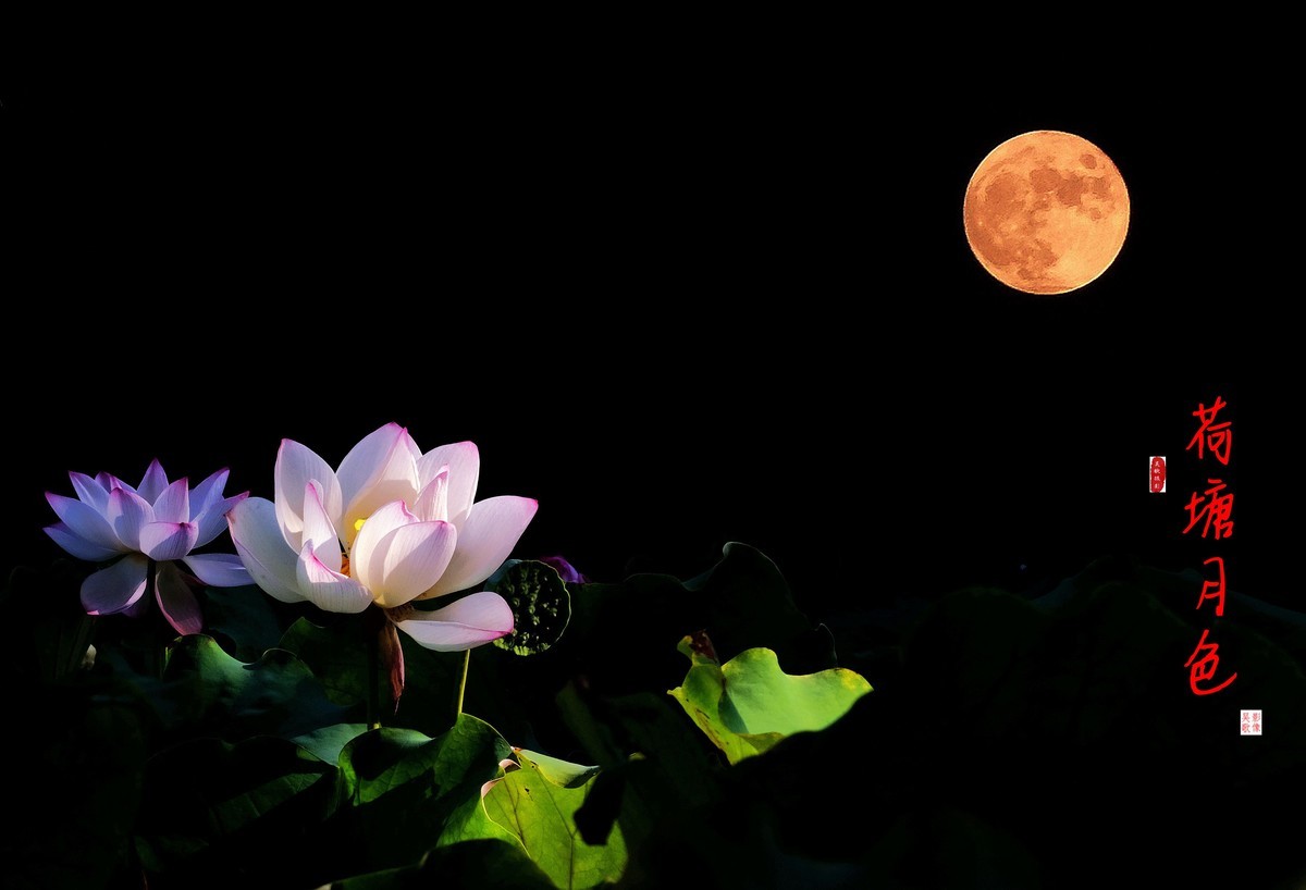 荷塘月色