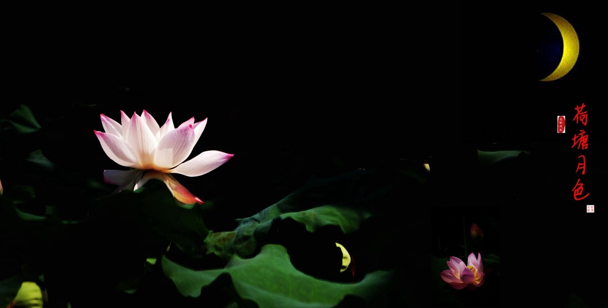 荷塘月色