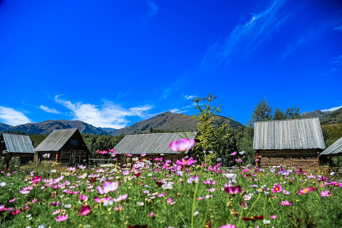 新疆禾木风景（二）