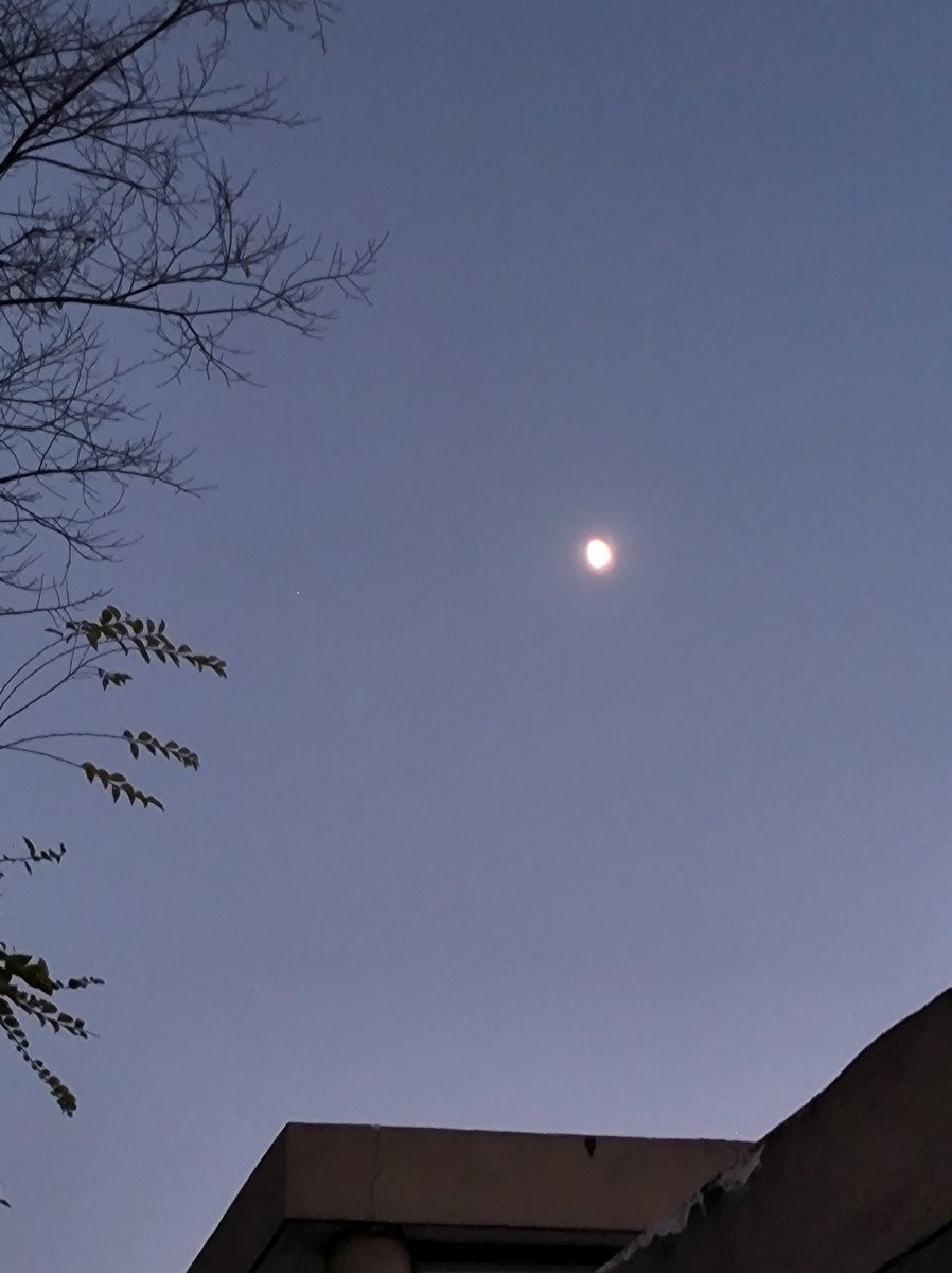 漫步星城 走街串巷（520）德楼核心区夜景