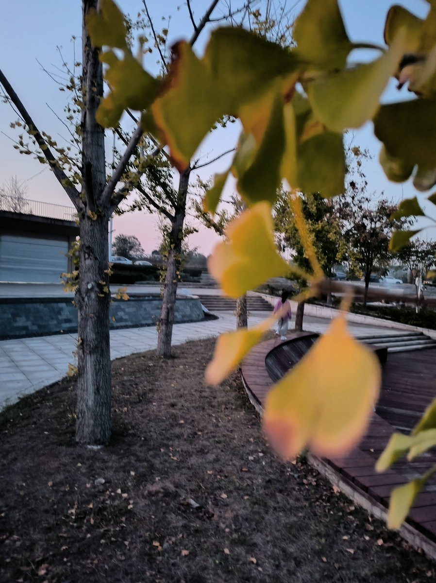 漫步星城 走街串巷（520）德楼核心区夜景