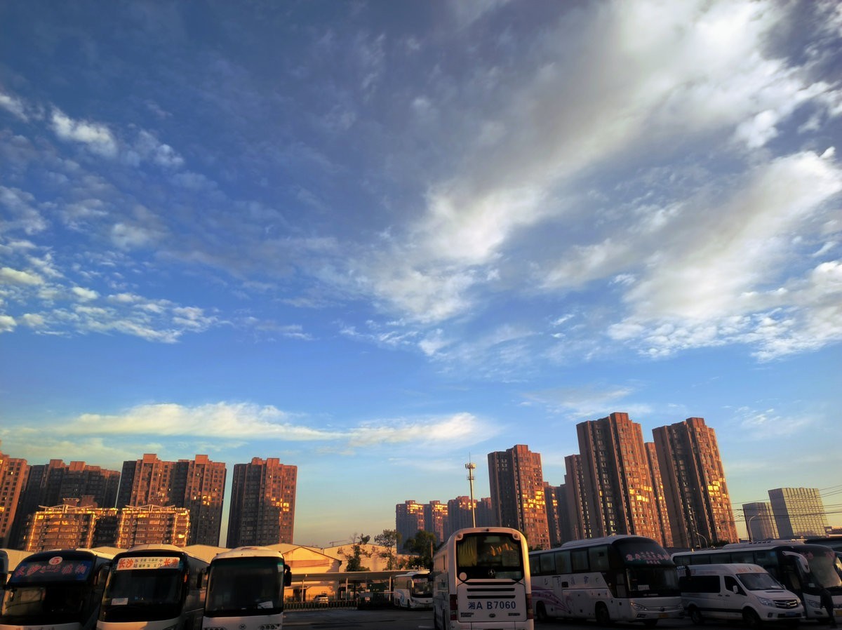 漫步星城 走街串巷（563）晨花