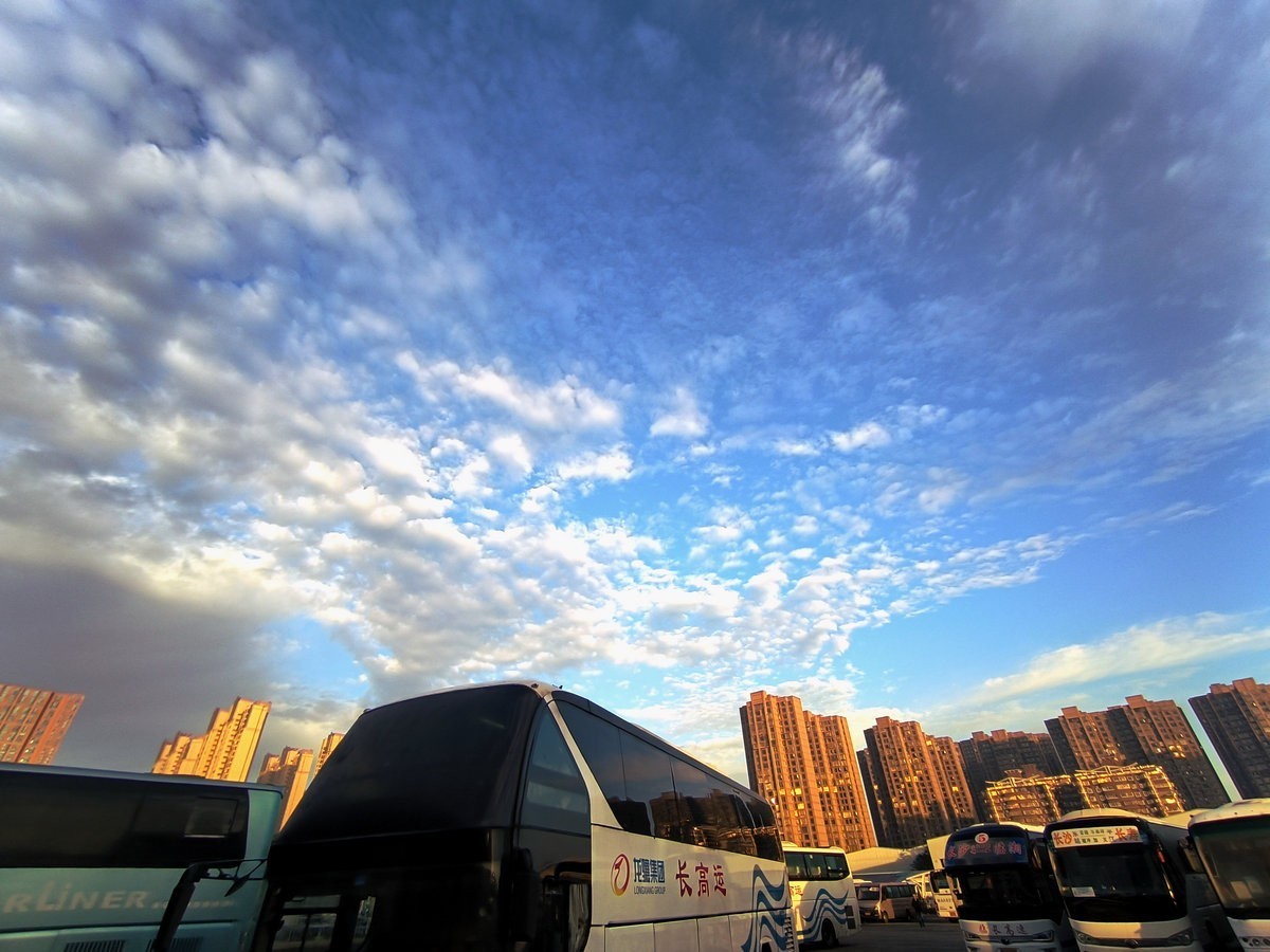 漫步星城 走街串巷（563）晨花