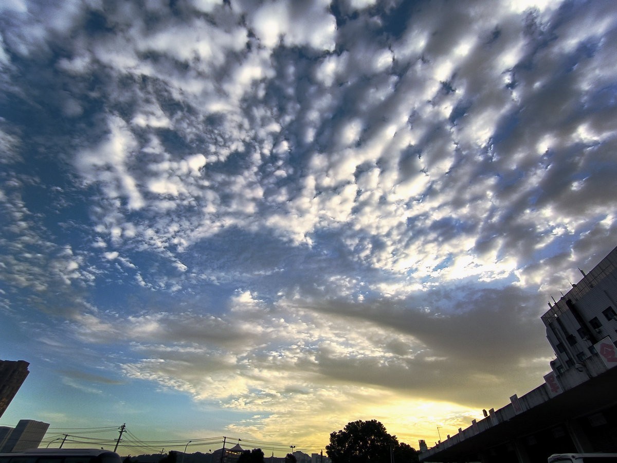 漫步星城 走街串巷（563）晨花