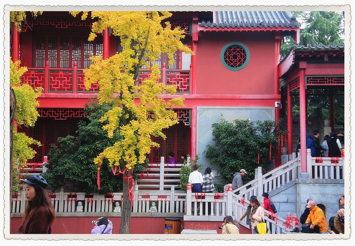 点缀寺庙的银杏叶