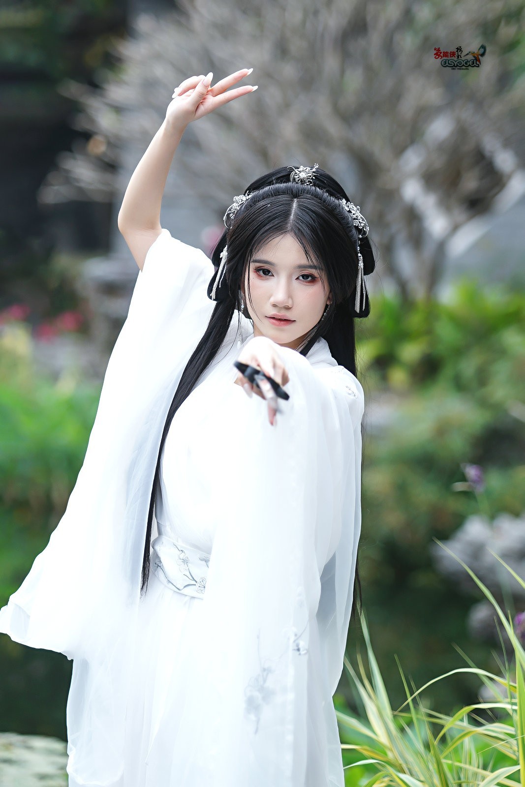 【白衣侠女】---周游