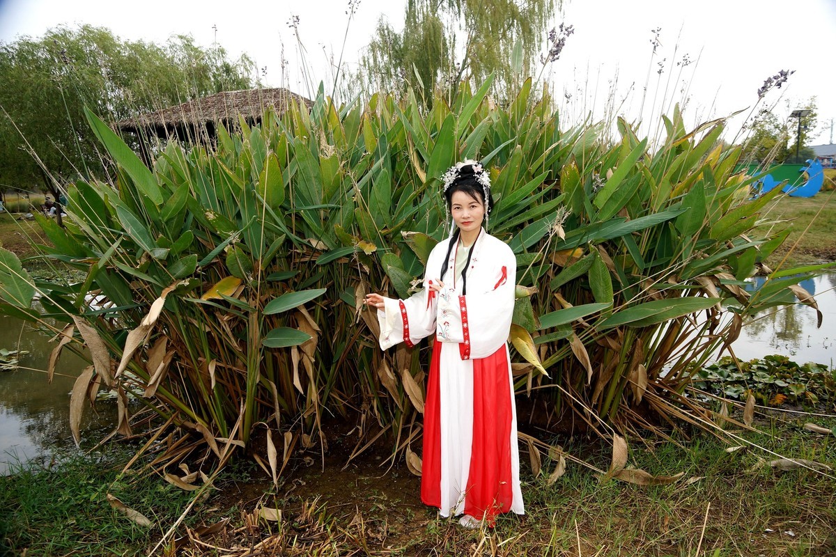 环境人像---花博汇的古装美女！