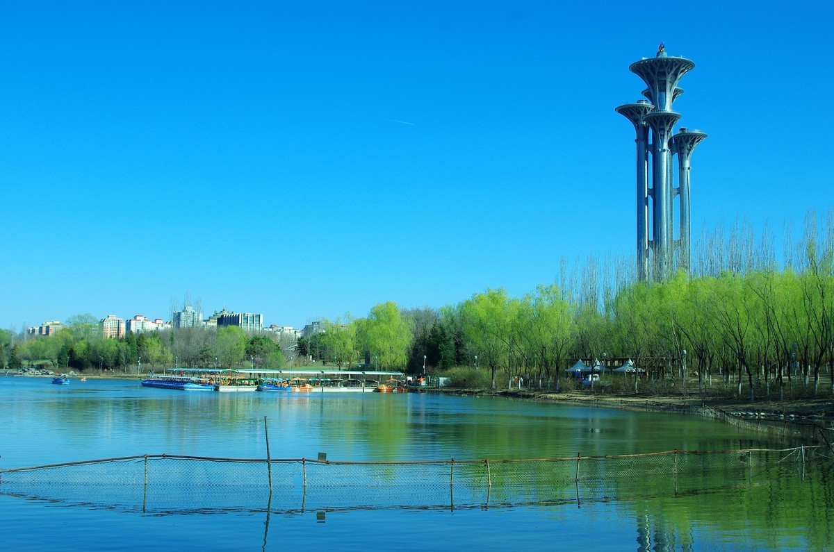 2022 —— 春风里，北京奥森公园奥海湿地景色