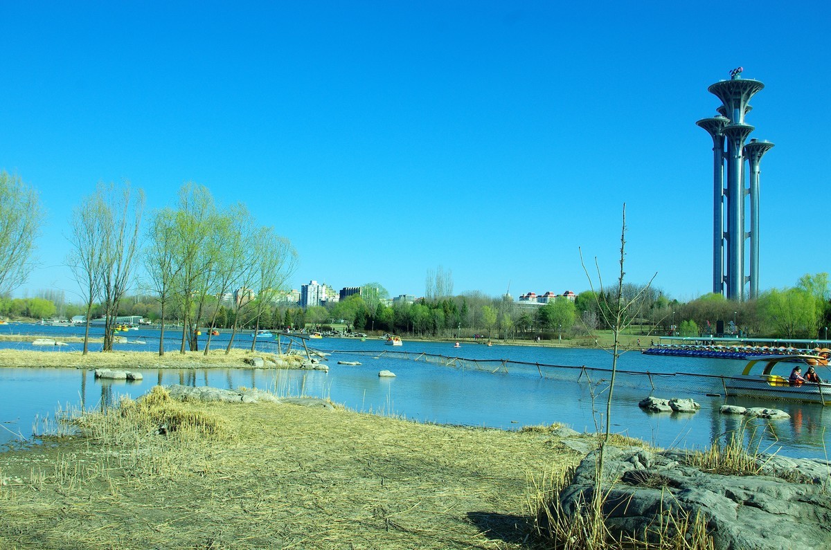 2022 —— 春风里，北京奥森公园奥海湿地景色