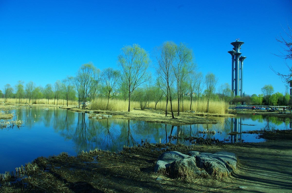 2022 —— 春风里，北京奥森公园奥海湿地景色