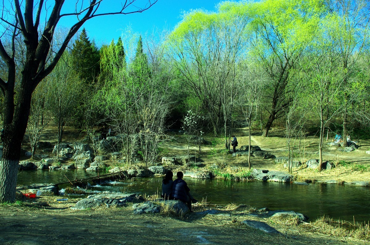 2022 —— 春风里，北京奥森公园奥海湿地景色