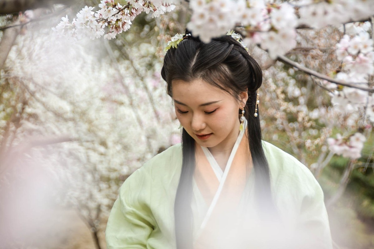 #花开春光寻美景#——樱园倩影