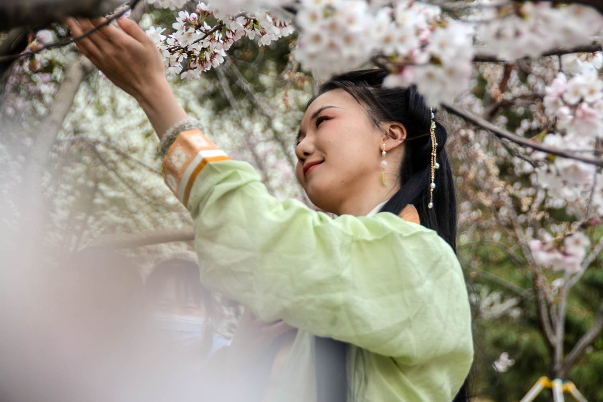 #花开春光寻美景#——樱园倩影