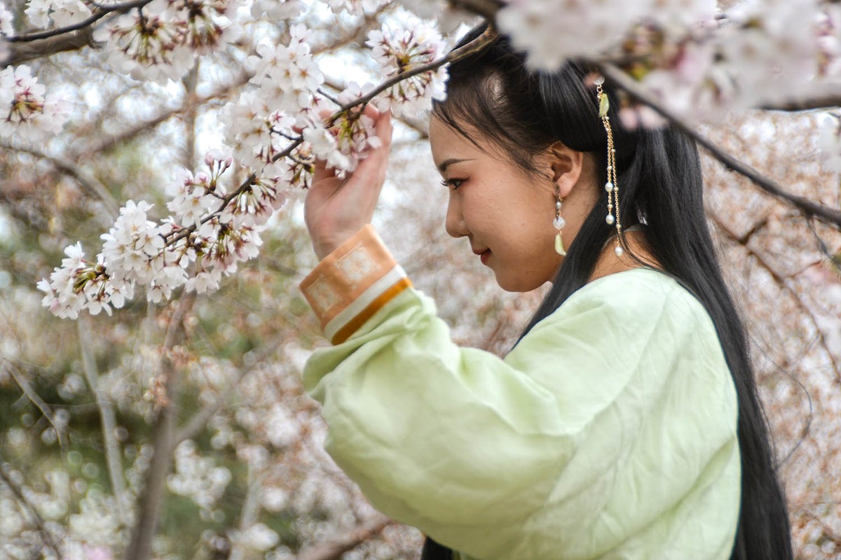 #花开春光寻美景#——樱园倩影