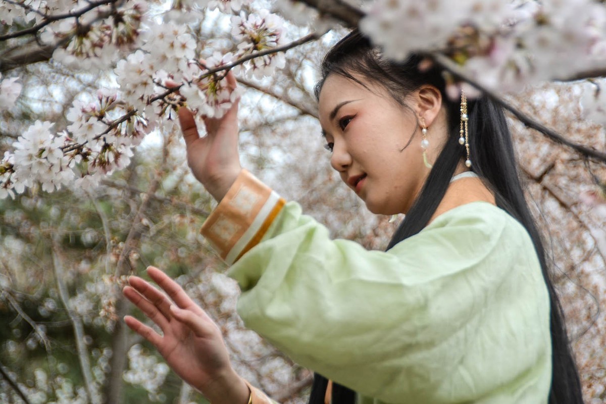 #花开春光寻美景#——樱园倩影