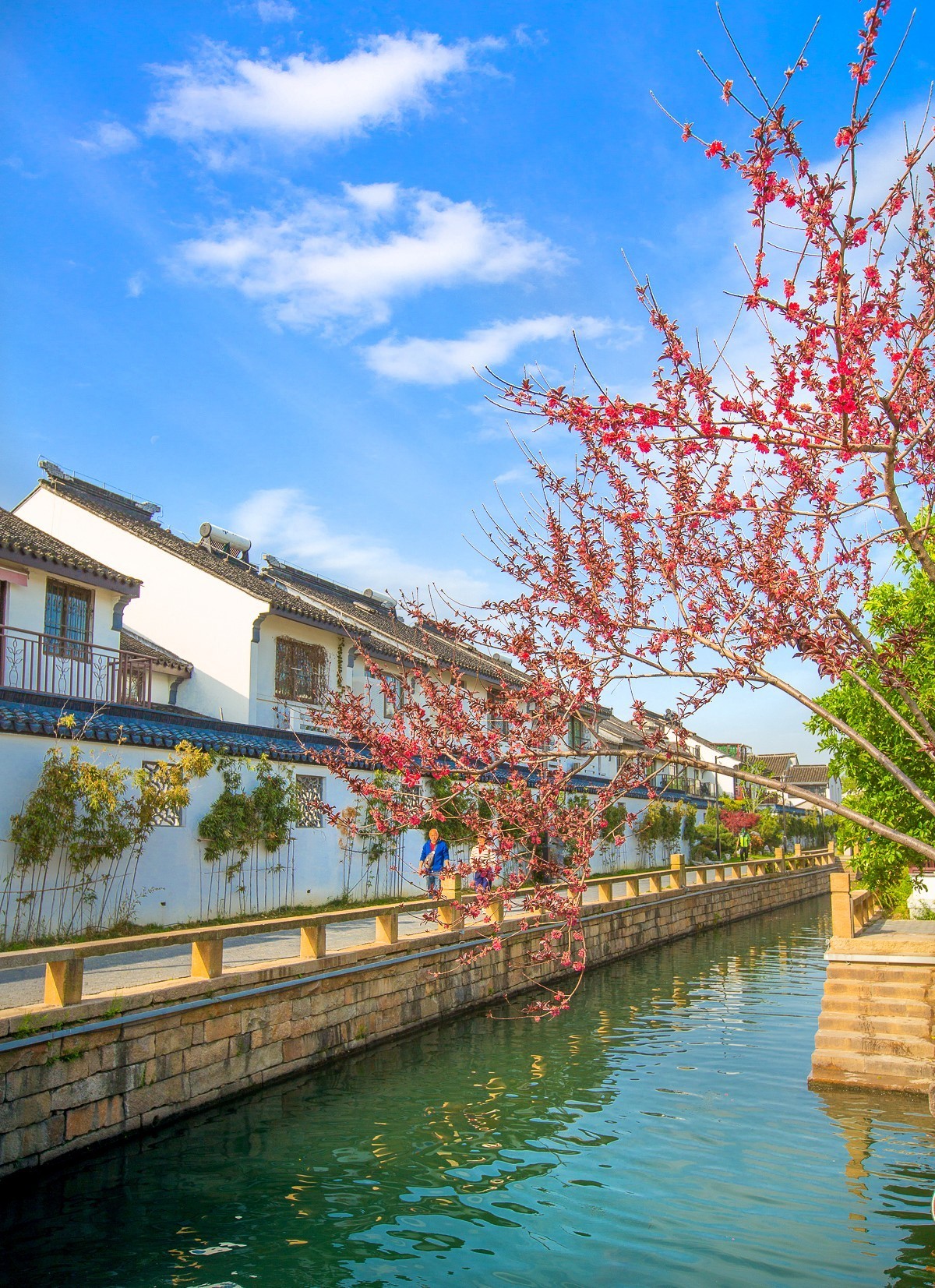 2023-06-10苏州平江路（一）