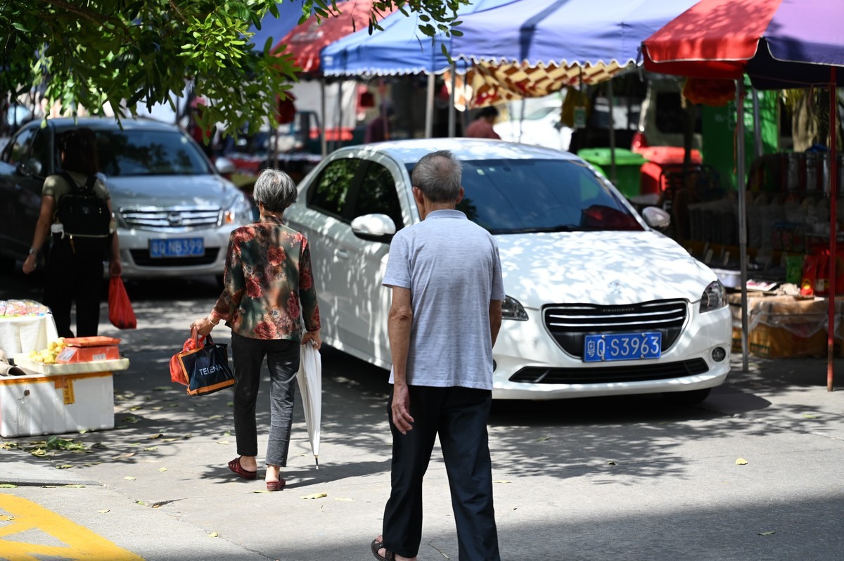 尼康Z105mm f/2.8 VR S 集市试拍